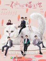 Bất Cẩn Meow Phải Anh