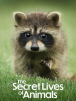 Bí Ẩn Về Thế Giới Động Vật