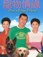 Chú Chó Thông Minh