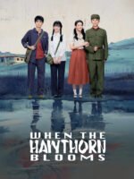 Chuyện Tình Cây Sơn Tra