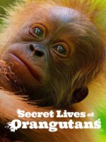 Cuộc sống bí mật của đười ươi