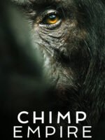 Đế chế tinh tinh