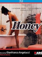 Khách Sạn Dục Vọng