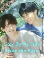 Khi Mưa Tan, Ta Gặp Lại