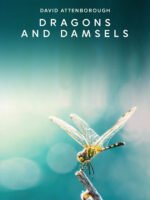 Loài Chuồn Chuồn