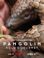 Loài tê tê: Hành trình của Kulu