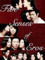 Năm Giác Quan Của Thần Tình Ái