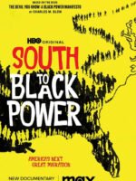 Nam Tiến: Quyền Lực Da Màu