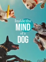 Những chú chó nghĩ gì