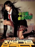 Nữ Cảnh Sát Chìm