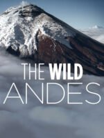 The Wild Andes