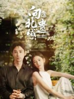 Tiếc Nuối Của Hướng Bắc