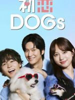 Tình Đầu Cún Cưng