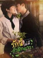 Tình Yêu Này Không Có Đậu Đũa