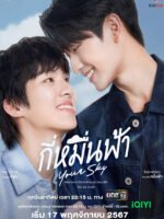 Your Sky: Muôn Ngàn Trời Mây